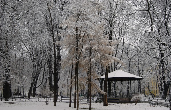 Planty in winter (image from Wikimedia Commons)